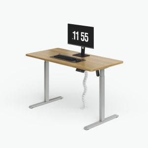 Customization Home Office Electric Standing Desk With Cable Storage
