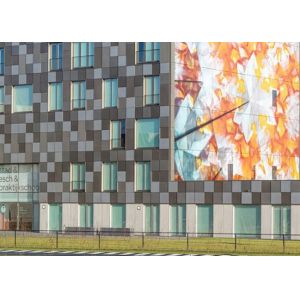 Various Patterned Digital Printing On Glass / 3~12mm Commercial Building Glass