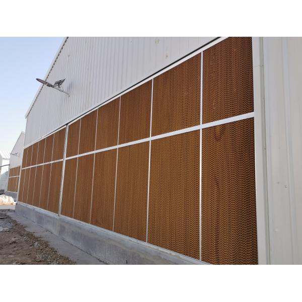 Q235B Galvanized Steel Poultry House / Chicken Coop Steel Frame With Bolts Connection