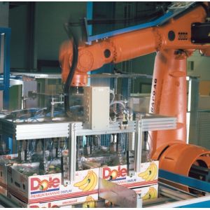 Rotary Scraping Robot Palletizing Equipment For Cartons Cans Containers