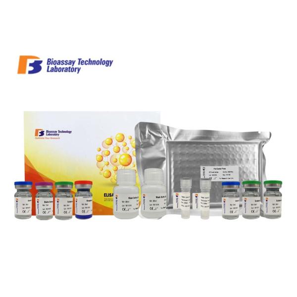 Strong Sensitivity ASB2 Sandwich ELISA Kit 96 Wells / 48 Wells For Research 2 -