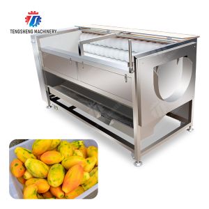 Large scale brush Washing cleaning and peeling machine Ginger Potato Carrot Taro