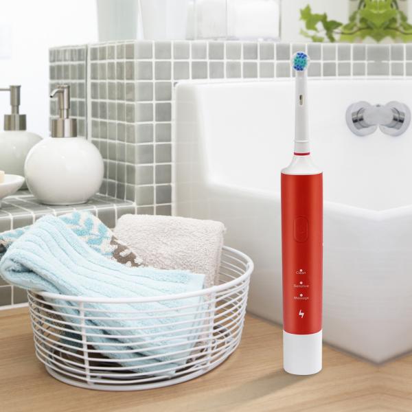 Waterproof Practical Rotary Electric Toothbrush , Antiskid Spin Brush Tooth