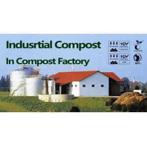 Wholesale disposable gloves, plastic gloves, biodegradable gloves, compostable