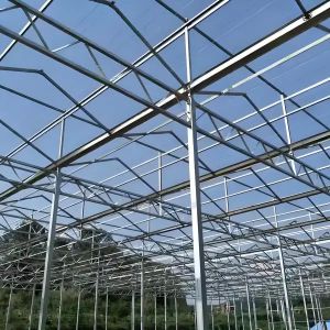 Industrial Polycarbonate Greenhouse for Herb Cultivation