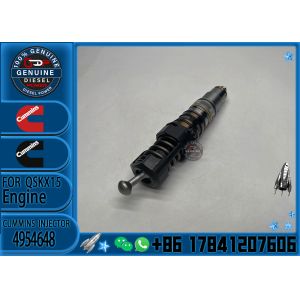 Fuel injector 579251 4954648 1764365 1731091 1846350 570016 1846351 579261