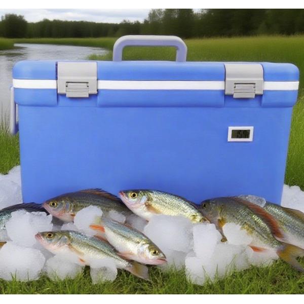 Fishing box, outdoor fishing ice bucket, beverage and food dual-purpose fishing cold storage box, portable fish catch cold storage box