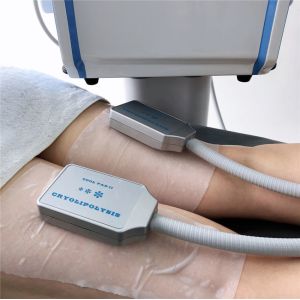 20Hz Cryolipolysis Fat Freezing Machine With EMS Muscle Stimulate