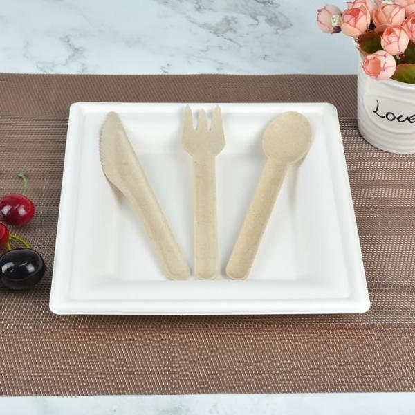 Spoon Molded Pulp Products Lightweight Moluded Pulp Packaging