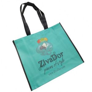 BOPP Laminated Matt Biodegradable 100gsm PP Non Woven Bag