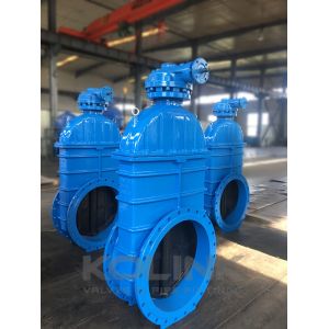 DIN 3352 F4 Resilient Seated Gate Valve Cast Iron GGG40 GGG50
