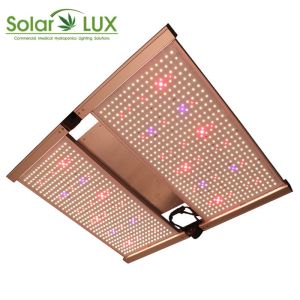 Infrared Quantum 650Watt Horticultural LED Grow Light