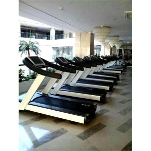 Walking Pad Treadmill Machine Heavy Duty Cardio Training 3.0HP Gym Equipment