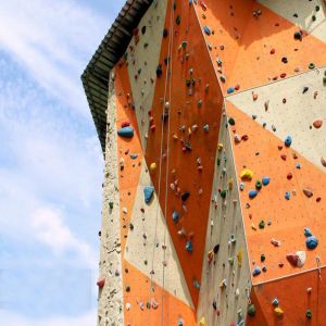 Mixed Color Fiberglass Rope Adult Climbing Wall For Shopping Mall
