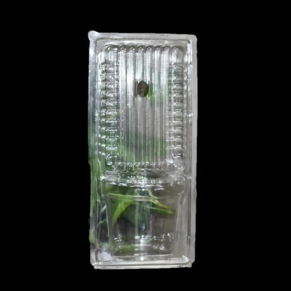 Buy Custom Transparent Plastic Disposable Clamshell Flower Seedlings Transport Blister Pack for Flower Green Plants at wholesale prices