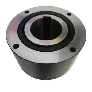 alternative TSUBAKI high quality R&B brand BS250 one way cam clutch