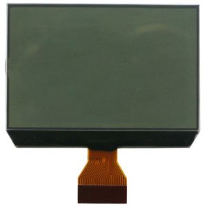 ODM Cog FSTN LCD Display 240X160 Dots Matrix Graphic LCD Module