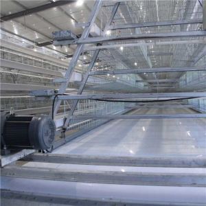 Quality High Durability Automated Poultry Equipment , Efficient Poultry House Equipment for sale