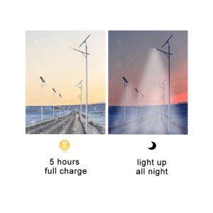 ROHS Multiscene Solar LED Street Light Lamp No Flicker Substantial
