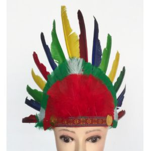 Indian headdress, ground anfield dress party outfit, feather headdress, chief