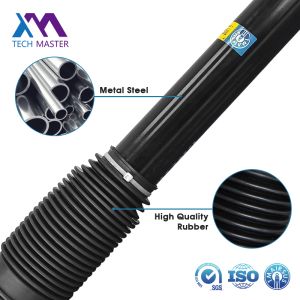Shock Absorber Without Electronic Control Rear 1663200030 1663202030 Mercedes