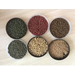 Advanced Stainless Steel Small and Medium Capacity Pet Food Pellet Extruder