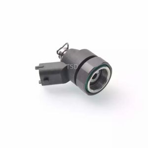 China F00RJ00395  Rail Injector Control Valve Solenoid Valve For Bosch F 00R J00 395 0445120002 on sale