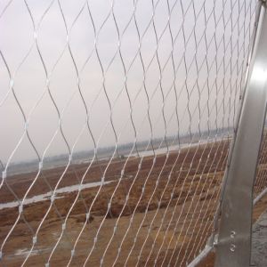 Stainless Steel Ferrule Wire Rope Mesh