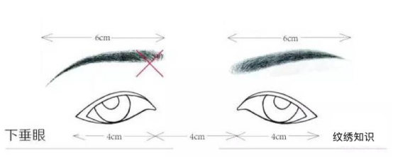 Artificial Fibers Cosmetic Beauty Tools / Black Eye Makeup Brushes For Eyelashes / Eyebrows