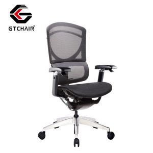 Ergonomic Project Office Chair Adjustable Lumbar Support Swivel Mesh