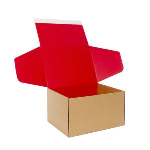Custom Self Seal Adhesive Packaging Boxes Easy Tear Strip Zipper Mailing Mailer