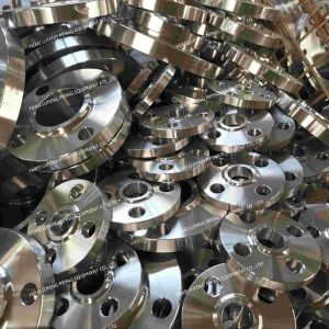 BS EN 1092-1 forged duplex stainless steel flanges