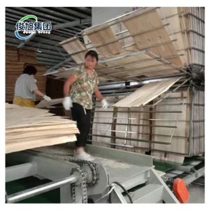 Customizable Wood High Performance Veneer Dryer Machine