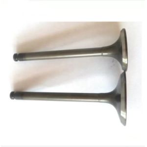 TEM MD159502 Mitsubishi 4G63 Exhaust Valve And Intake Valve MD197193