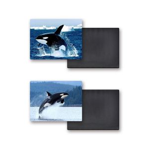 Light Weight Souvenir 3D Fridge Magnets Heat Resistant Oil Resistance