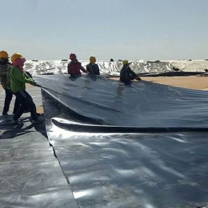 China Fish Pond HDPE Geomembrane Liner with Double Smooth Surface 0.5mm 1.0mm 1.2mm 2mm on sale