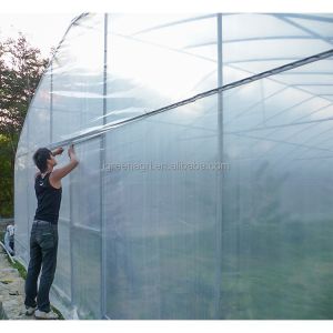 150Micron Single Span Greenhouse Customizable Plastic Film Greenhouse