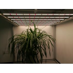 2035umol/S UV LED Grow Lights