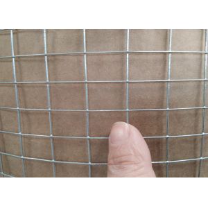 Quality Hot - Dipped Galvanized Welded Wire Mesh For Animal Cage Structuring for sale