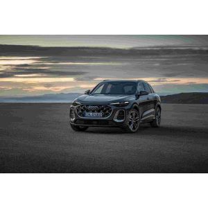 Audi Q5L 2025 quattro 45th Anniversary Collector's Edition 40TFSI Fashionable