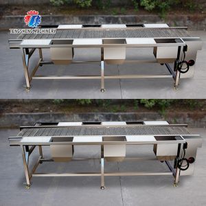 Potato Selection Table Ginger Carrot radish Celery kale lemon Saiko persimmon