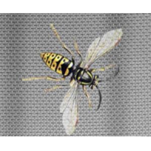 Stainless Steel Window Screen