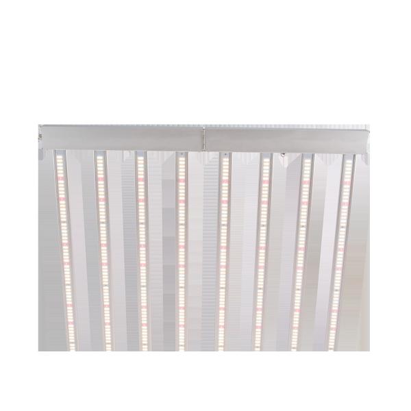 Buy 2.7umol/J 1836umol/S Horticulture Led Solutions at wholesale prices