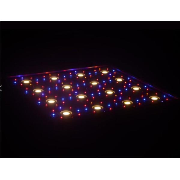 High Power Greenhouse Grow Lights 800W , LED Grow Lights For Indoor Gardening COB Lamp