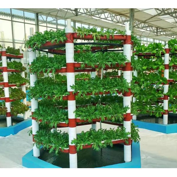 Buy Seeding/Vegetables/Fruit/Flower Controlled Environment Hydroponic Seedling Greenhouse at wholesale prices