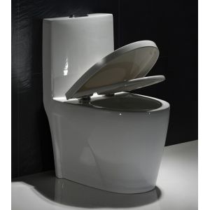 China Map1000 Dual-Flush Elongated One-Piece Toilet Seat Included Small Bathroom on sale