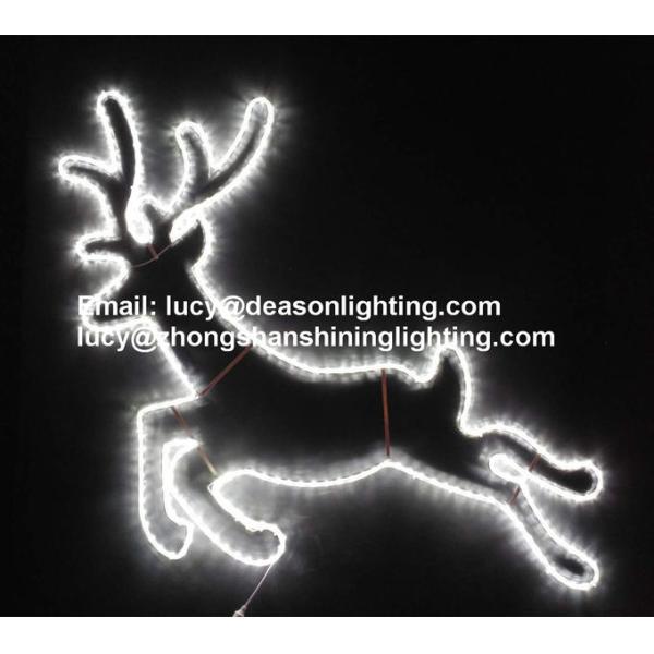 christmas reindeer lights