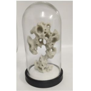 ODM Coral Decorative Art Craft