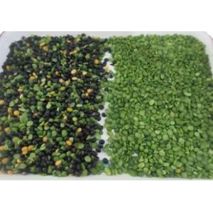 3 Chutes Optical White Black Pepper Color Sorting Machine Multifunction