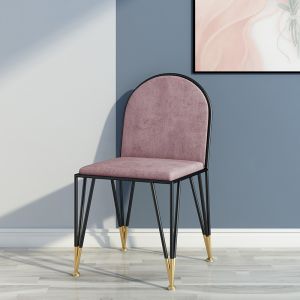 Home / Restaurant Fashionable Dining Room Chairs With Metal Structure